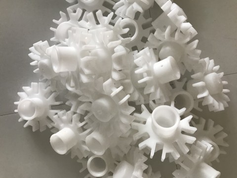 Trái kế dù tròn chính tâm