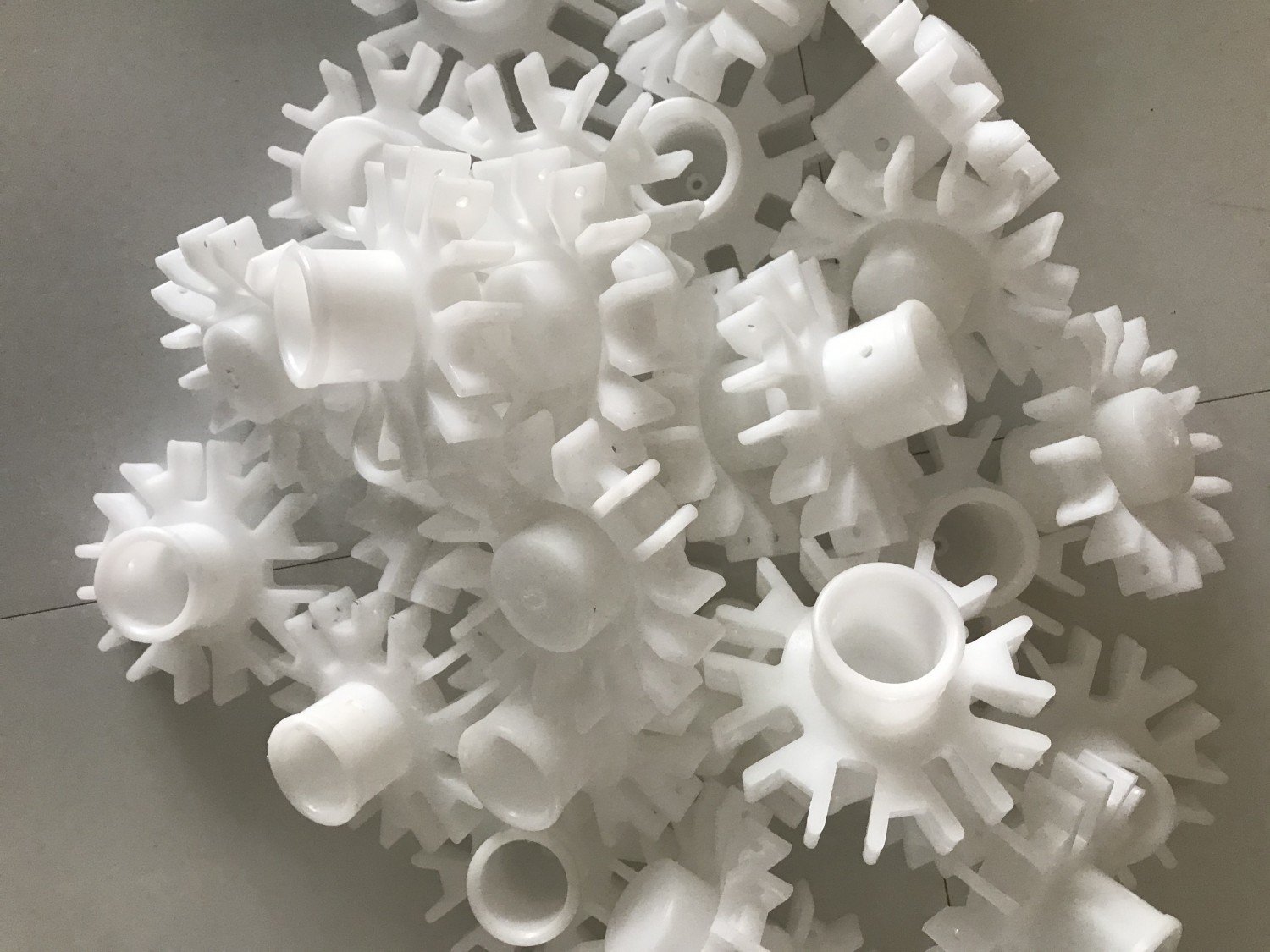 Trái kế dù tròn chính tâm